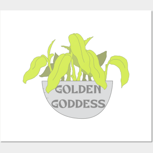 Golden Goddess Philodendron Plant Art Posters and Art